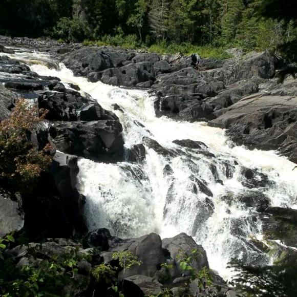 Meet your Posher, Alison - Picture 1 of 1